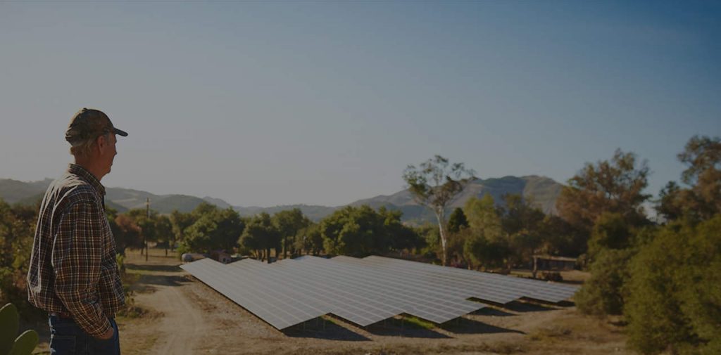 Sunkist_website_Growers_images_4sustainability_1280x6311 Sunkist kr